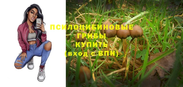 тгк Алексин